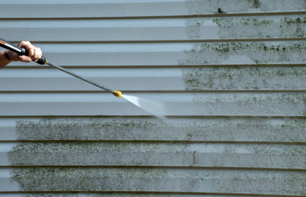 Best Dumpster Area Cleaning  in Redington Shores, FL